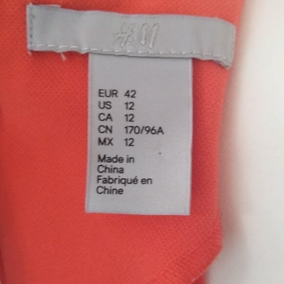 H&M Tangerine/Coral Drop Waist Dress - Picture 11 of 16